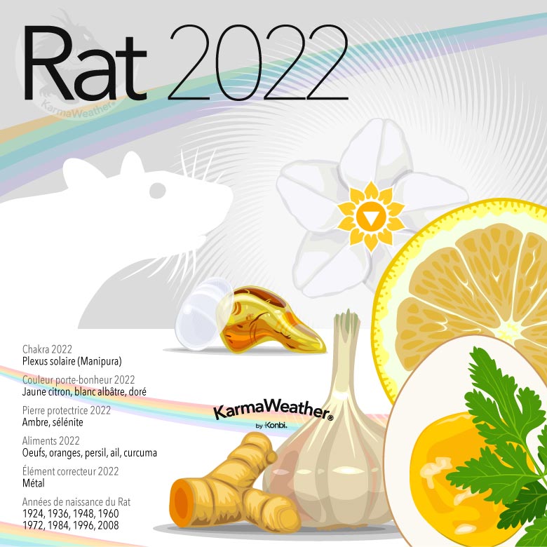 Infographie du signe astrologique du Rat en 2022