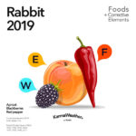 Rabbit 2019 food horoscope