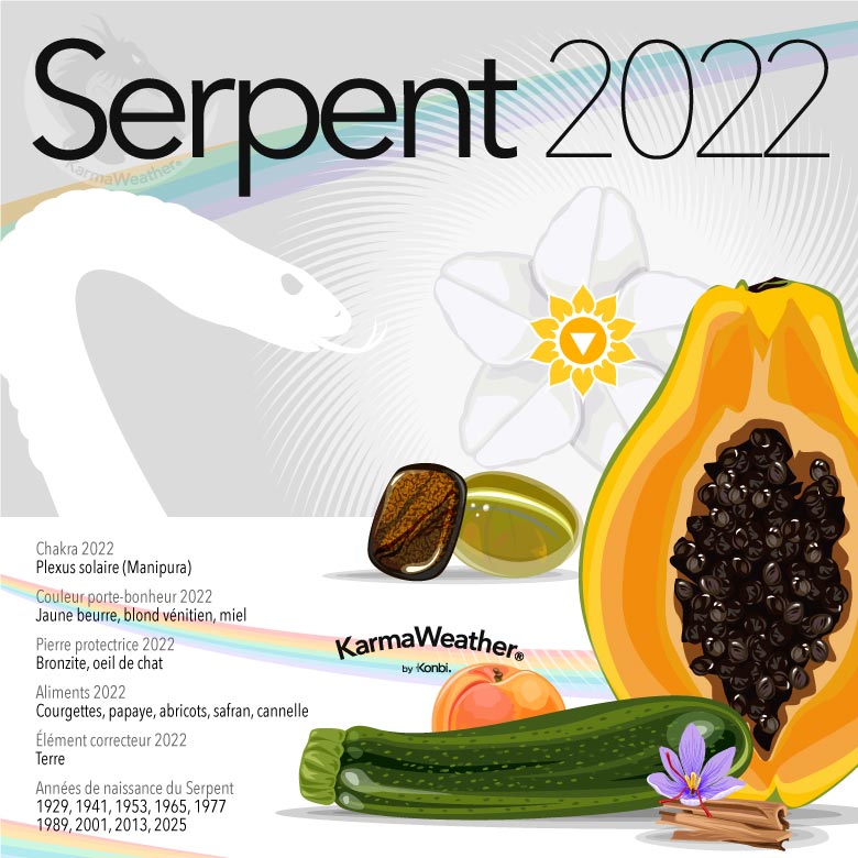 Infographie du signe astrologique du Serpent en 2022