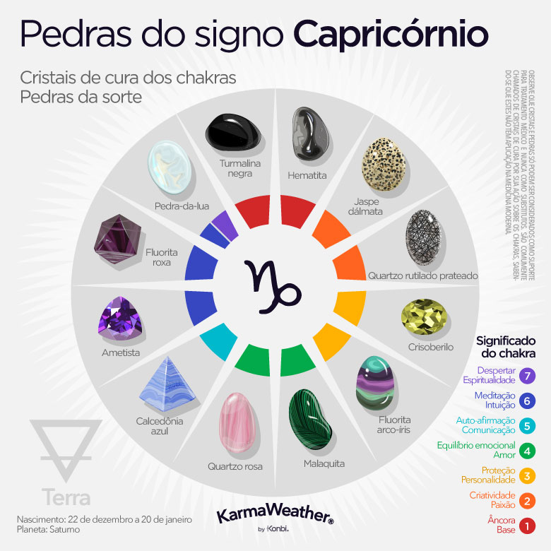 Infográfico de pedras de nascimento do zodíaco de Capricórnio