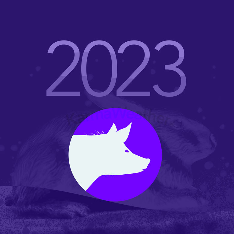 亥[猪] 2023年 干支占い