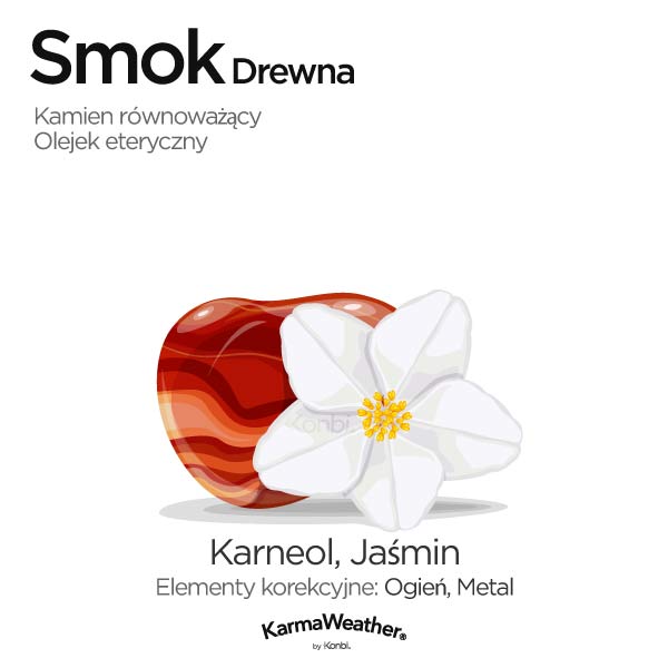 Smok Drewna: kamień równoważący i olejek eteryczny