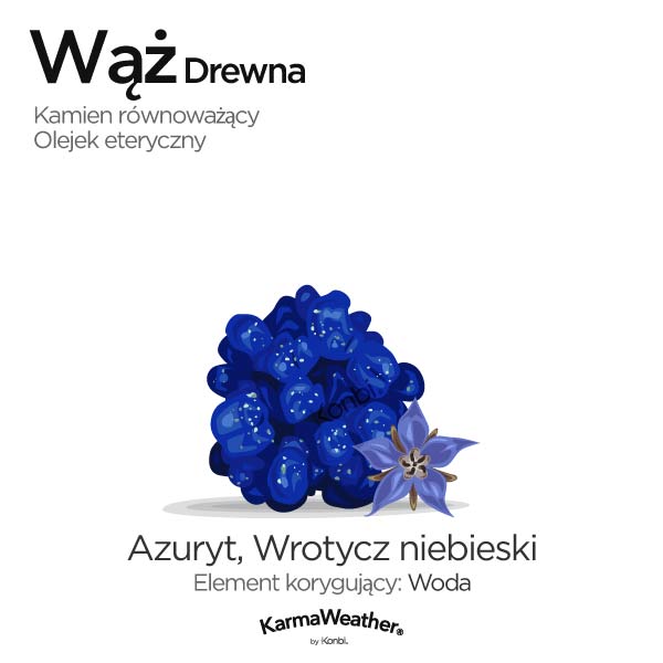 Wąż Drewna: kamień równoważący i olejek eteryczny