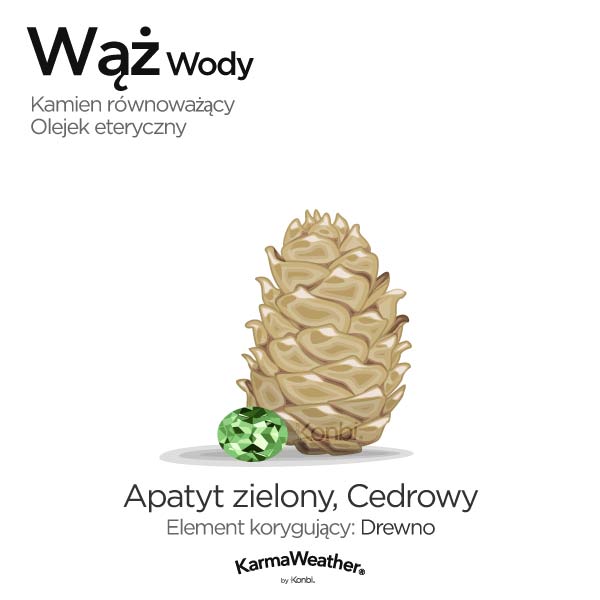 Wąż Wody: kamień równoważący i olejek eteryczny