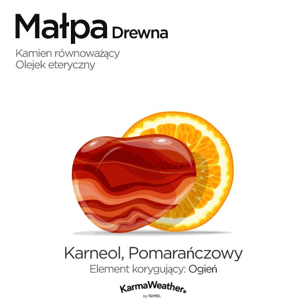 Małpa Drewna: kamień równoważący i olejek eteryczny