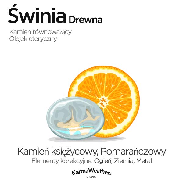 Świnia Drewna: kamień równoważący i olejek eteryczny