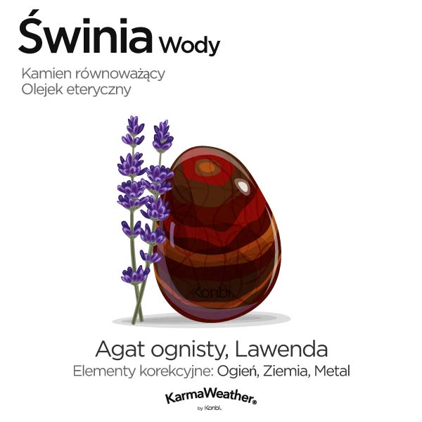 Świnia Wody: kamień równoważący i olejek eteryczny