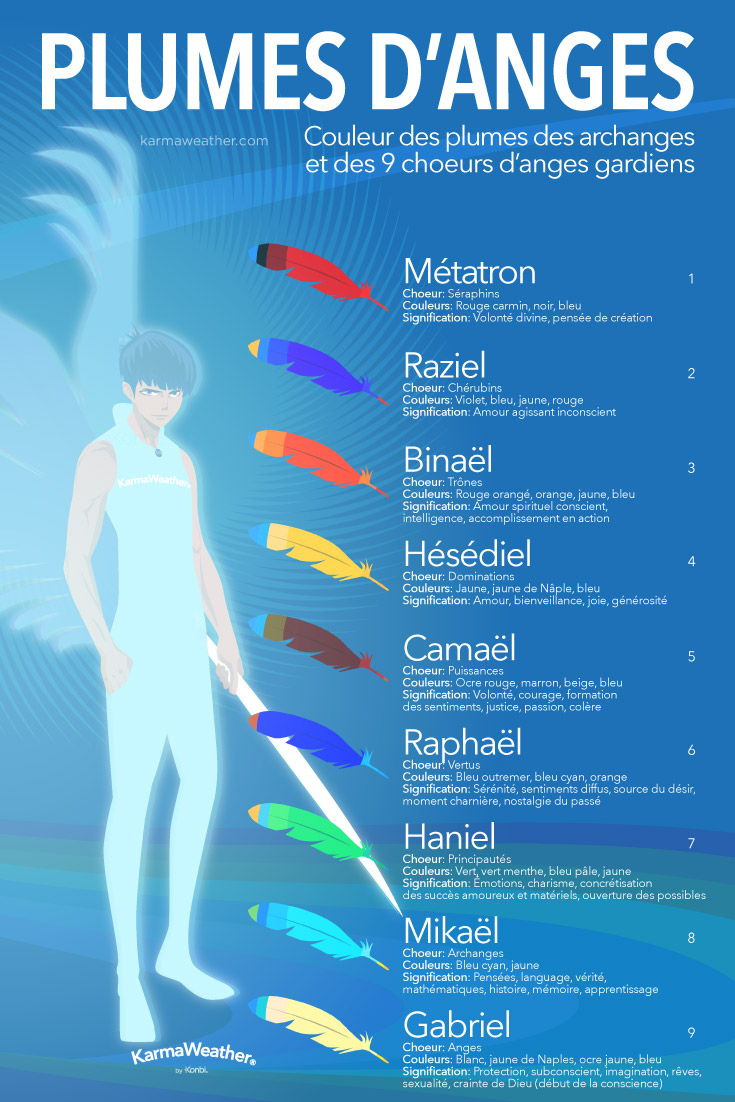 Infographie des couleurs des plumes d'anges