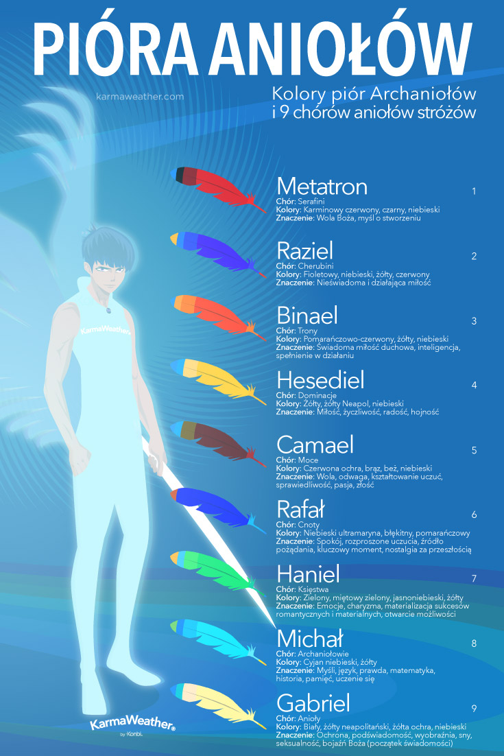 Infografika kolorów piór anioła