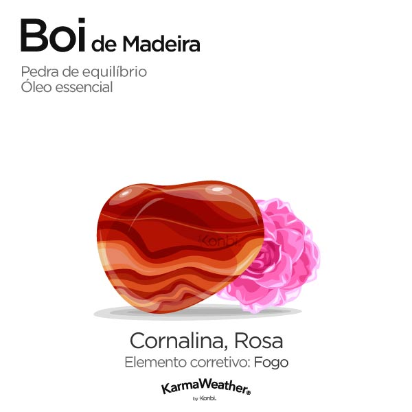 Boi de Madeira: pedra de equilíbrio e óleo essencial