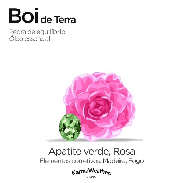 Bode de Terra: pedra de equilíbrio e óleo essencial