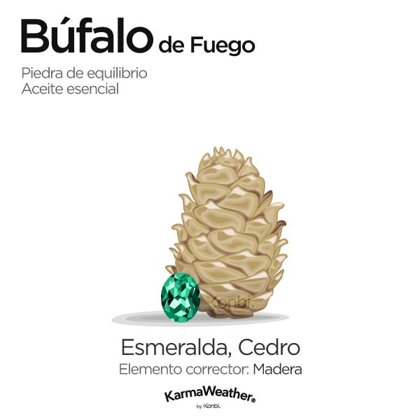 Búfalo de Fuego: piedra de equilibrio y aceite esencial