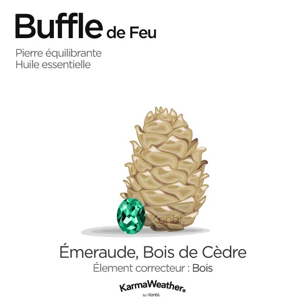 Buffle de Feu: pierre équilibrante et huile essentielle