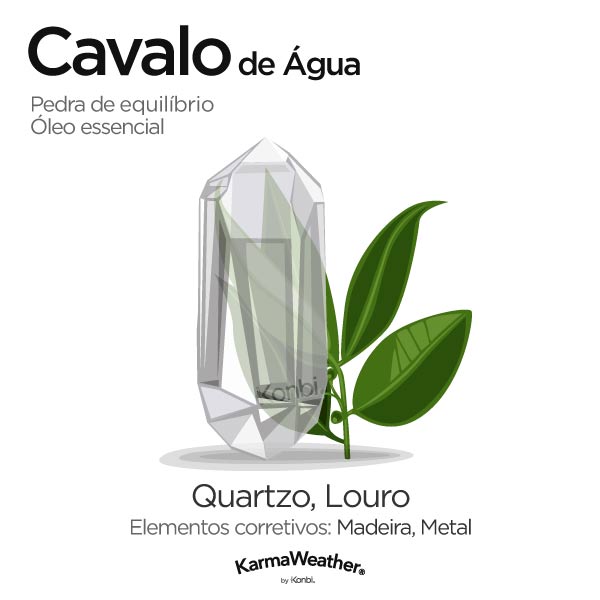 Cavalo de Água: pedra de equilíbrio e óleo essencial