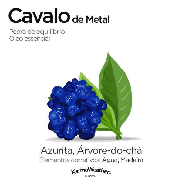 Cavalo de Metal: pedra de equilíbrio e óleo essencial