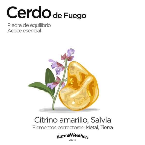 Cerdo de Fuego: piedra de equilibrio y aceite esencial