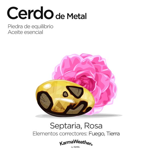 Cerdo de Metal: piedra de equilibrio y aceite esencial