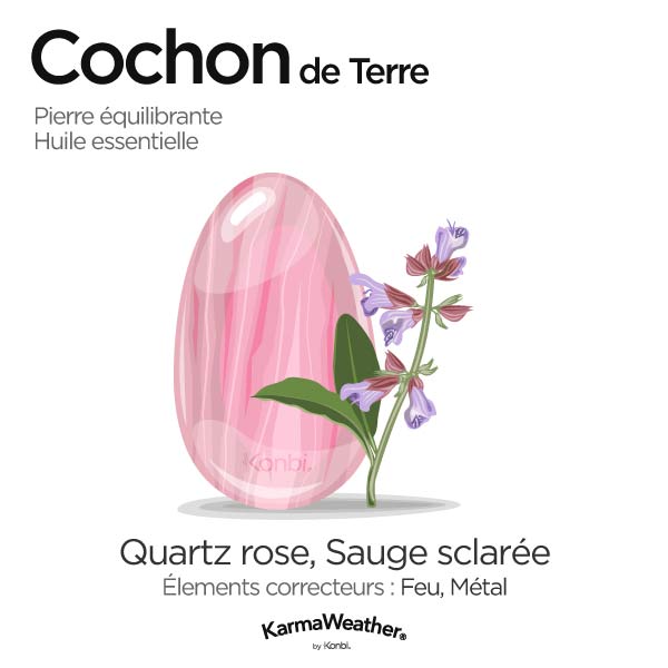 Cochon de Terre: pierre équilibrante et huile essentielle