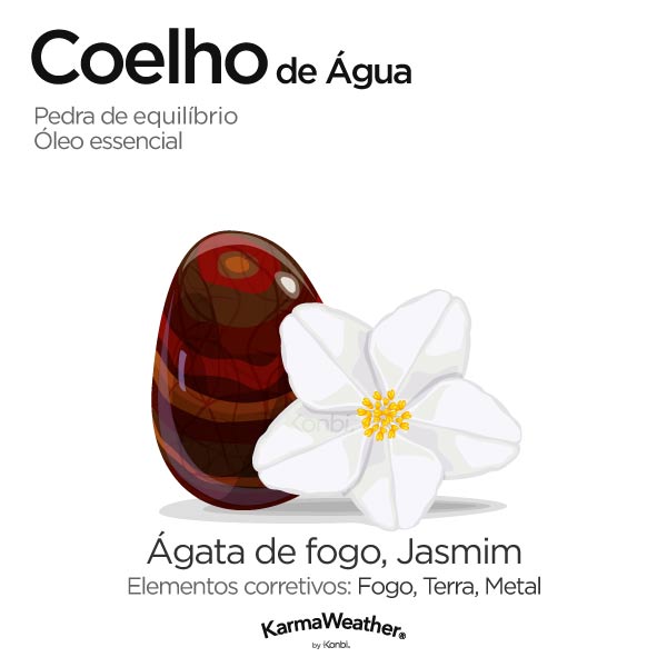 Coelho de Água: pedra de equilíbrio e óleo essencial