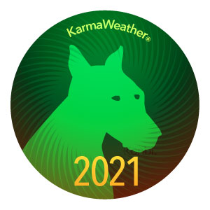 Dog 2021