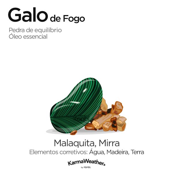 Galo de Fogo: pedra de equilíbrio e óleo essencial