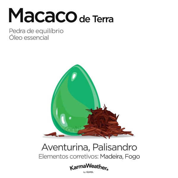 Macaco de Terra: pedra de equilíbrio e óleo essencial