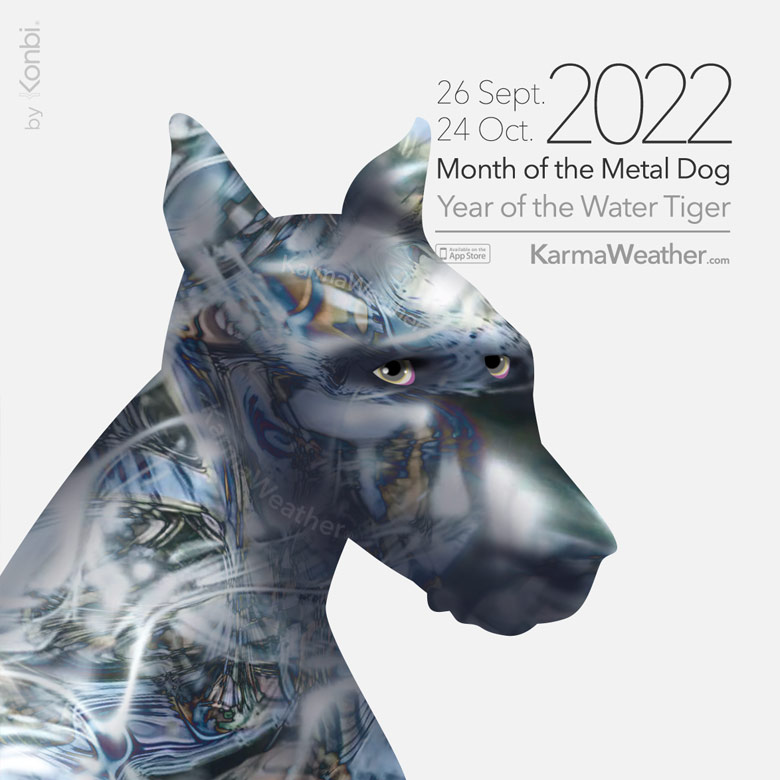 KarmaWeather Illustration for the Month of the Metal Dog of 2022