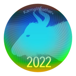 Woł, Bawoł 2022