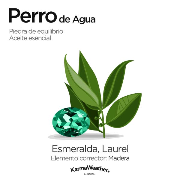 Perro de Agua: piedra de equilibrio y aceite esencial