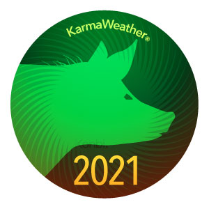 2021年の猪[亥]