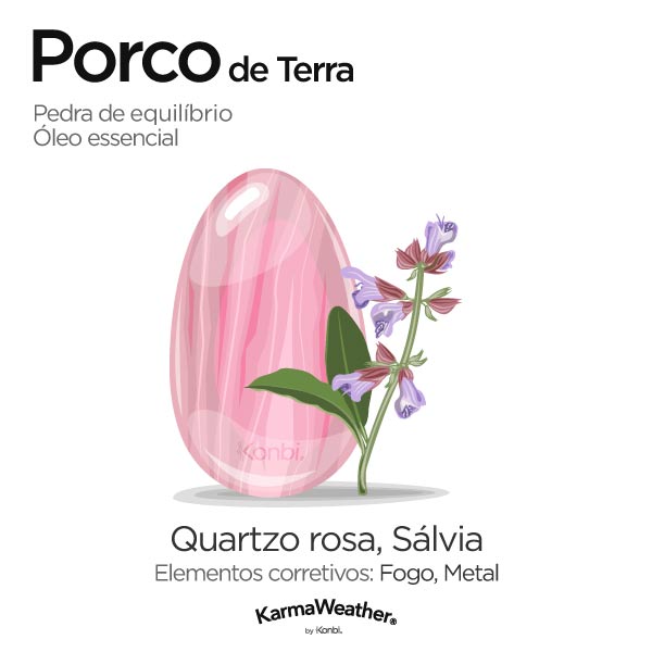 Porco de Terra: pedra de equilíbrio e óleo essencial