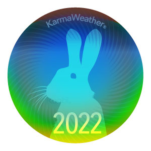 Rabbit, Hare, Cat 2022