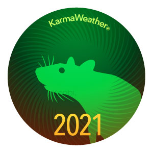 Rat 2021