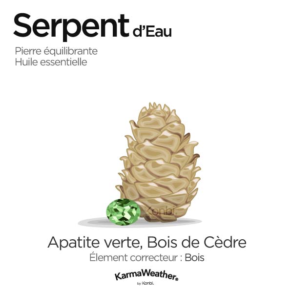 Serpent d'Eau: pierre équilibrante et huile essentielle