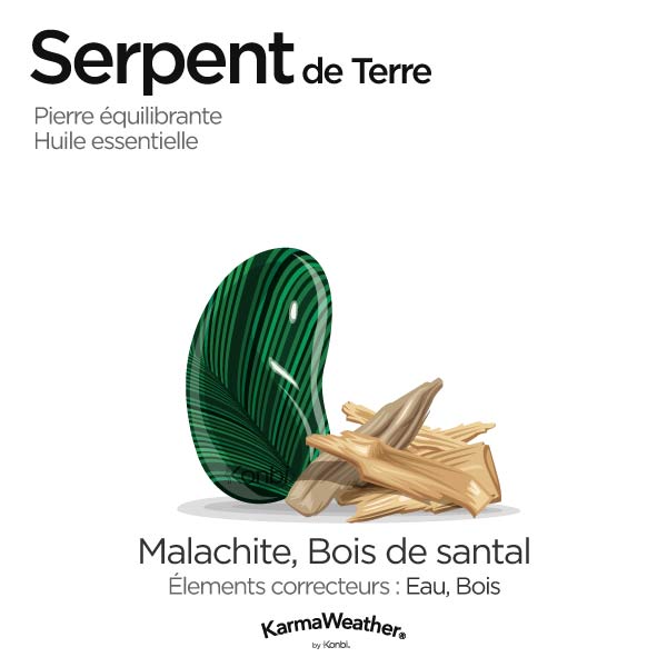 Serpent de Terre: pierre équilibrante et huile essentielle