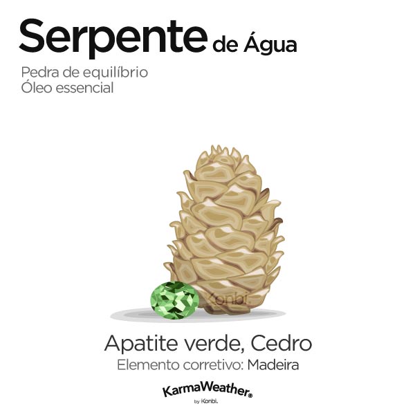 Serpente de Água: pedra de equilíbrio e óleo essencial