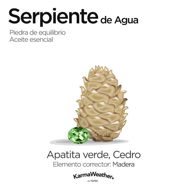 Serpiente de Agua: piedra de equilibrio y aceite esencial