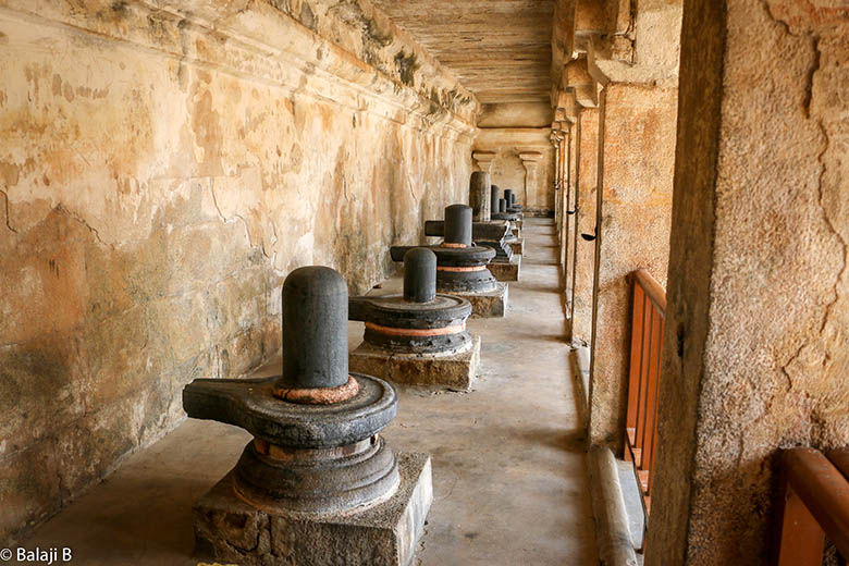 Shiva Lingams ze świątyni Brihadishvara, Tamil Nadu, Indie, autor: B Balaji