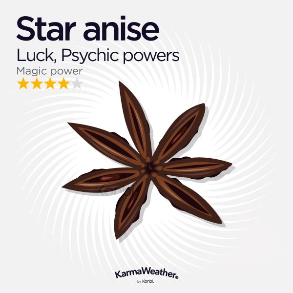 Star anise illustration