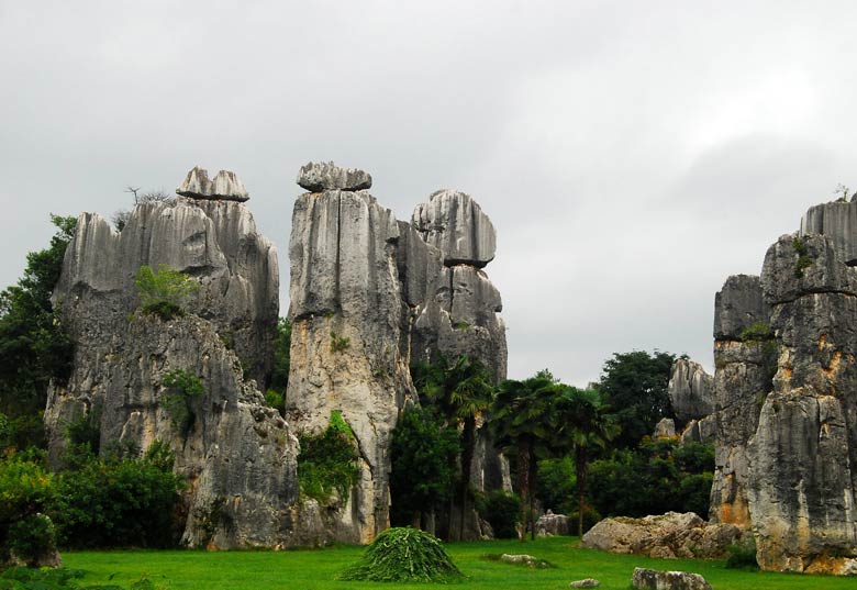 Floresta de Pedra, China por Shizhao