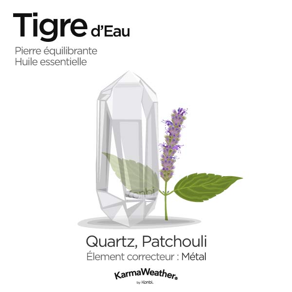 Tigre d'Eau: pierre équilibrante et huile essentielle