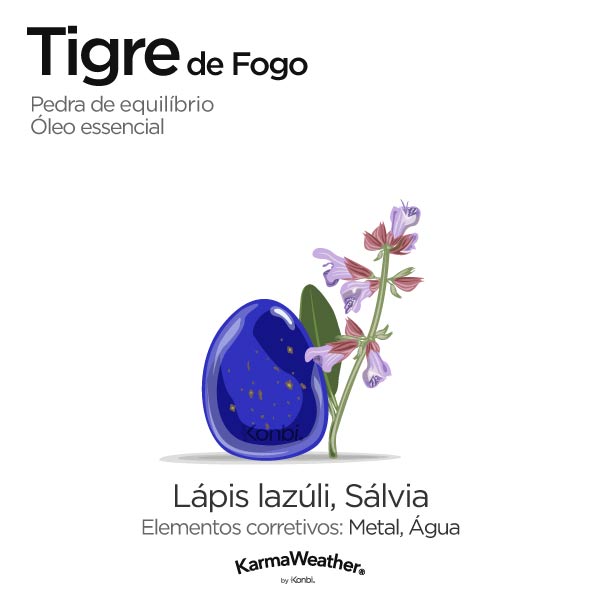 Tigre de Fogo: pedra de equilíbrio e óleo essencial