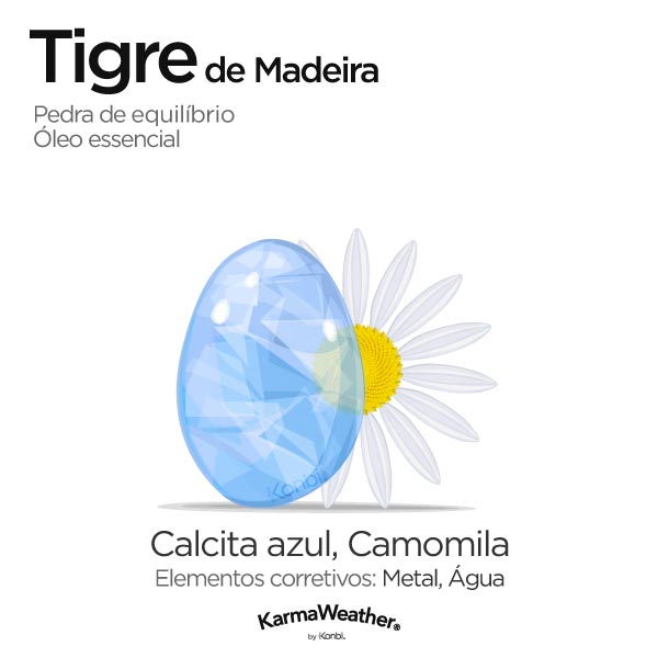 Tigre de Madeira: pedra de equilíbrio e óleo essencial