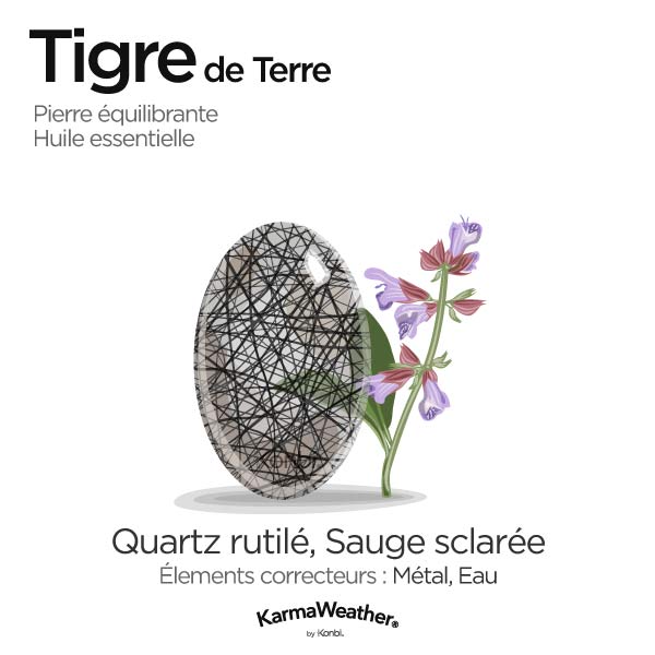 Tigre de Terre: pierre équilibrante et huile essentielle