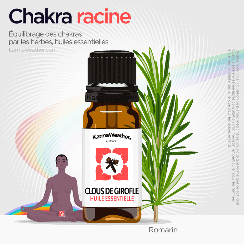 Équilibrage du chakra racine avec des herbes et de l'huile essentielle