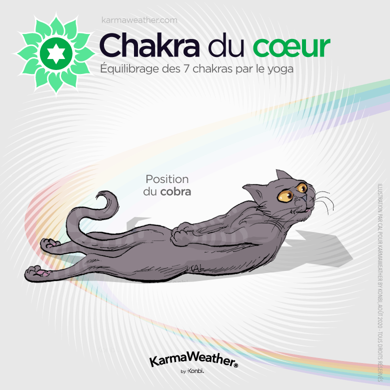 Équilibrage du chakra du cœur par le yoga