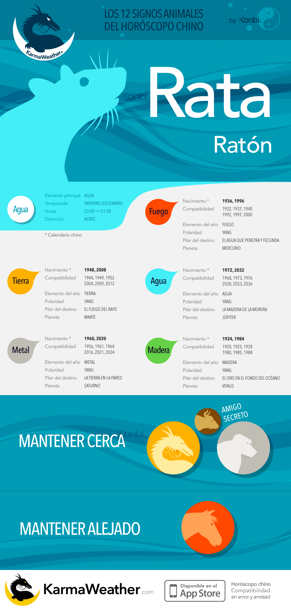 La Rata de la astrología china: infografía completa