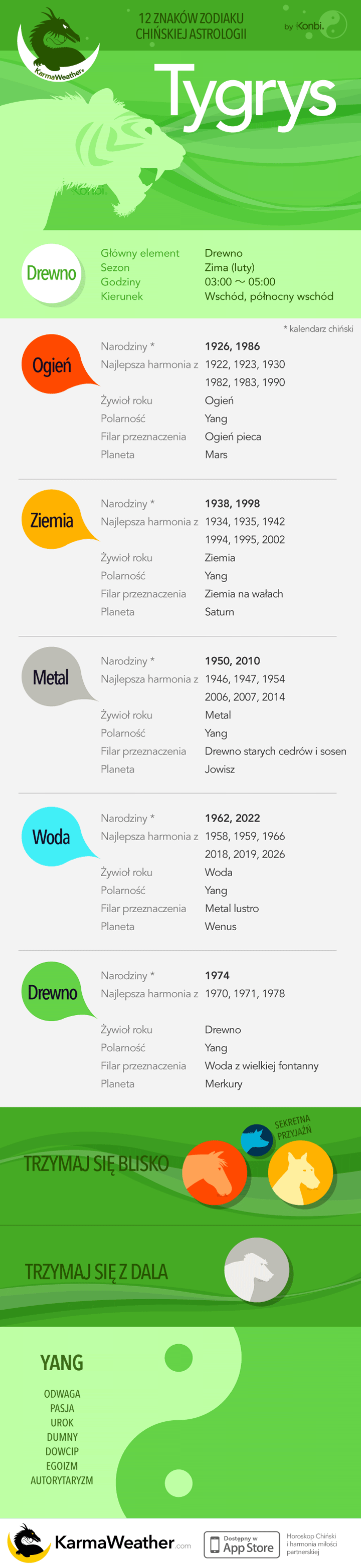 Tygrys chińskiej astrologii: pełna infografika