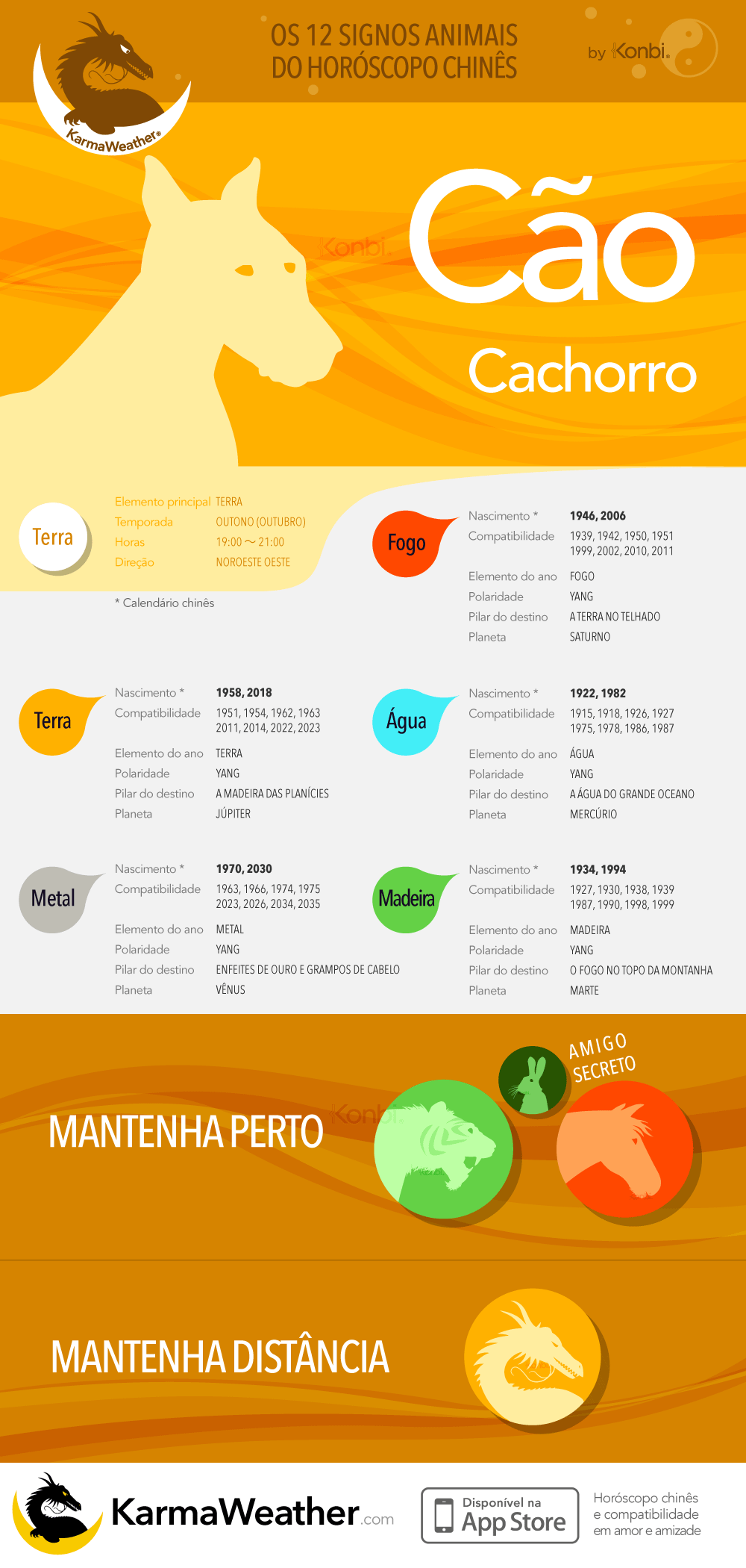 O Cão da astrologia chinesa: infográfico completo