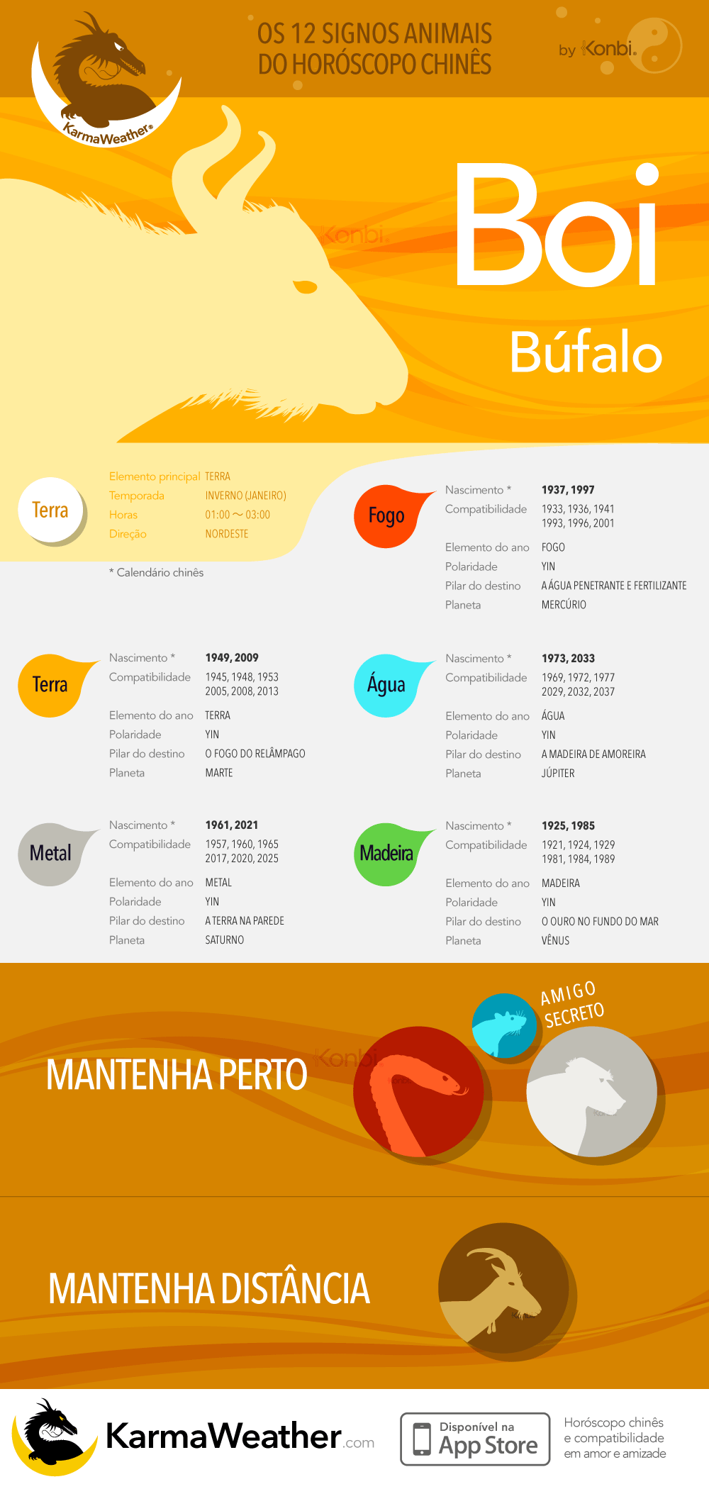 O Boi (Búfalo) da Astrologia chinesa: infográfico completo